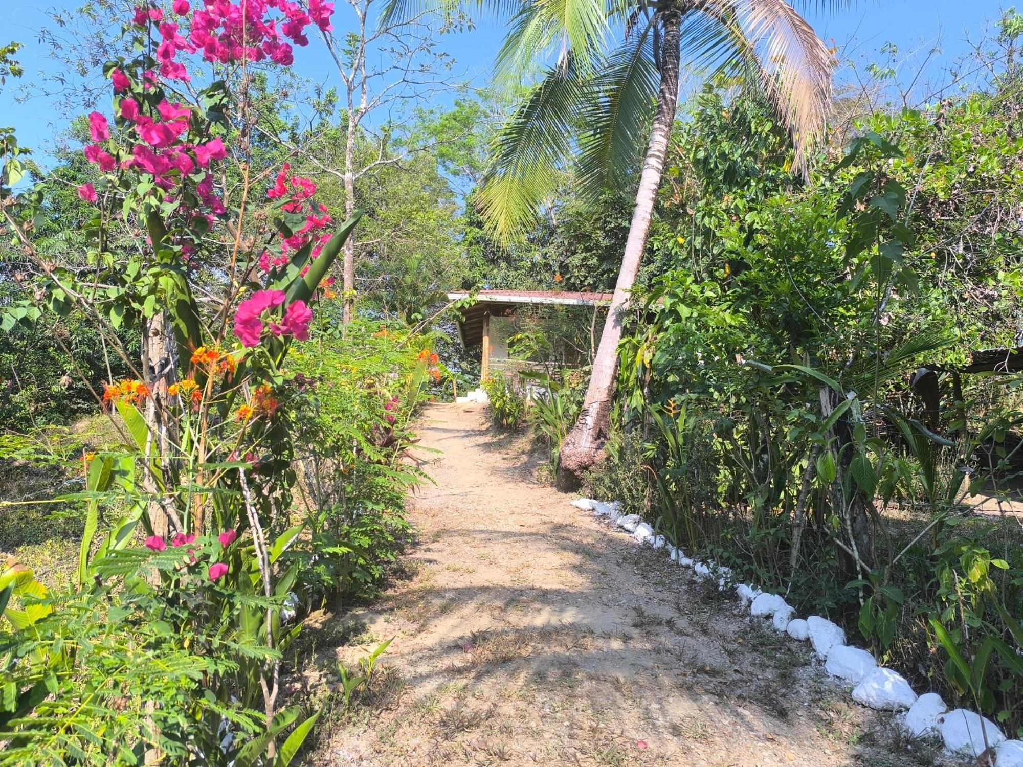 Casa Paraiso Manzanillo  Buitenkant foto